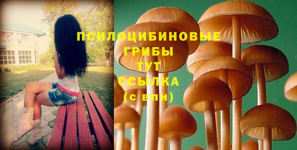 ешки Володарск