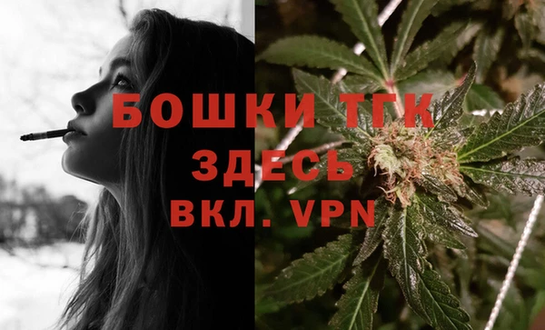 стафф Бородино